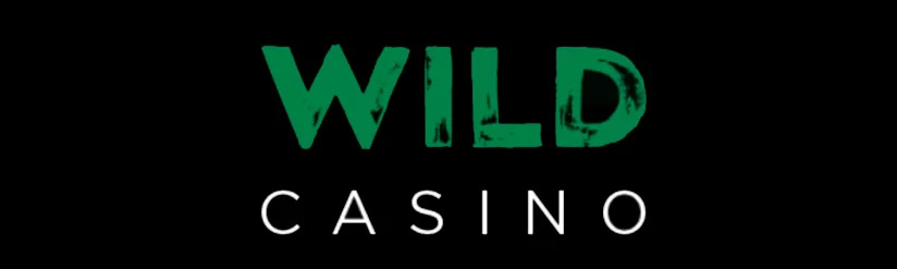 Top Casinos Bitcoin 2024 - Wild Casino