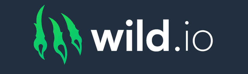 Top Casinos Bitcoin 2024 - Wild io Casino